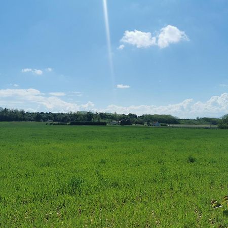 Gite Drome Des Colines Anneyron المظهر الخارجي الصورة